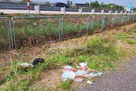  Nhiều sổ hộ khẩu, CMND, con dấu bị vứt bỏ bên đường