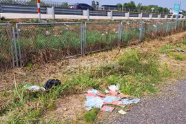  Nhiều sổ hộ khẩu, CMND, con dấu bị vứt bỏ bên đường