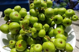 8 thực phẩm được ví như "kho chứa canxi", nên bổ sung hàng ngày