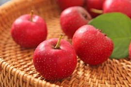 5 loại trái cây người bị đau dạ dày không nên ăn