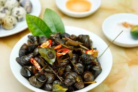 4 nhóm người nên hạn chế ăn ốc luộc tránh gây hại sức khỏe