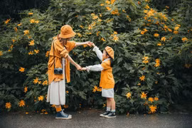 Kinh nghiệm du lịch Ba Vì mùa hoa dã quỳ nở rộ