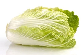 Lợi ích sức khỏe tuyệt vời của cải thảo