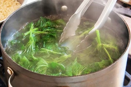 7 sai lầm khi chế biến rau xanh gây nguy hại cho sức khỏe