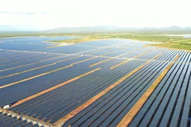 Xuân Thiện Đắk Lắk báo lỗ 6 tháng, dư nợ trái phiếu hơn 1.400 tỷ đồng