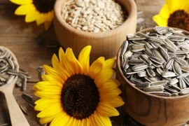 5 loại hạt giúp thúc đẩy mọc tóc, ngăn ngừa gãy rụng