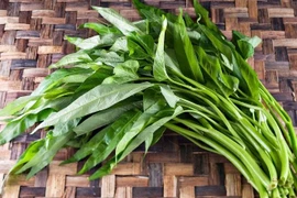 8 công dụng tuyệt vời của rau muống đối với sức khỏe