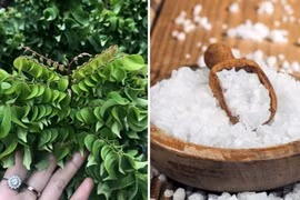 Mách bạn 3 cách rửa mặt bằng nước khế giúp dưỡng da, trị mụn