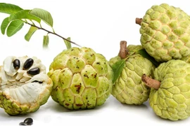 6 lợi ích tuyệt vời của quả na đối với sức khỏe