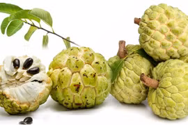 6 lợi ích tuyệt vời của quả na đối với sức khỏe