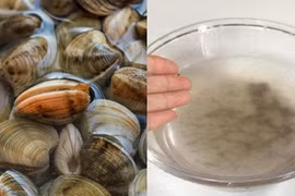 Mẹo đơn giản giúp ngao nhả cát nhanh, sạch bong