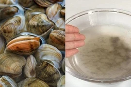 Mẹo đơn giản giúp ngao nhả cát nhanh, sạch bong
