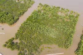 Thu hẹp 90% diện tích Khu Bảo tồn Tiền Hải để "hô biến" thành... gì?