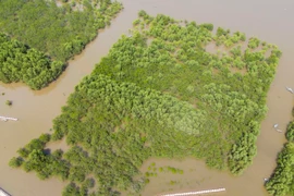 Thu hẹp 90% diện tích Khu Bảo tồn Tiền Hải để "hô biến" thành... gì?