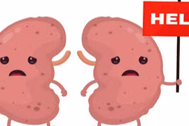 8 thói quen hàng ngày vô tình làm tổn thương thận