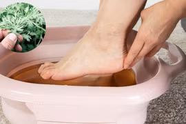 5 điều bất ngờ xảy ra nếu kiên trì ngâm chân bằng lá ngải cứu