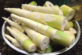 5 nhóm người tuyệt đối không nên ăn măng