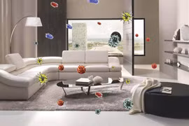 7 mẹo đơn giản giúp lọc sạch không khí trong nhà