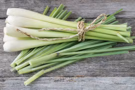 Loại cây được xem “thuốc” chống ung thư tự nhiên, giảm huyết áp cực tốt