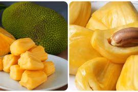 9 loại trái cây giàu protein tốt cho sức khỏe