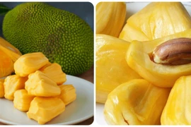 9 loại trái cây giàu protein tốt cho sức khỏe