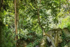 Khoảnh khắc đặc biệt của cựu Trung tá đặc công bên thềm chiến thắng 30/4/1975 