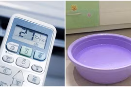 Bật điều hòa đặt thêm 3 thứ này trong phòng, điều bất ngờ sẽ xảy ra
