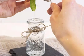 Học ngay cách làm gel nha đam dưỡng trắng da đơn giản, tiết kiệm