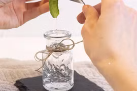 Học ngay cách làm gel nha đam dưỡng trắng da đơn giản, tiết kiệm