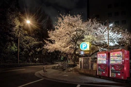 Máy bán hàng tự động có thể cảnh báo thiên tai tại Nhật Bản 