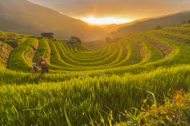 Chiêm ngưỡng những thửa ruộng bậc thang tựa như tranh vẽ Mù Cang Chải