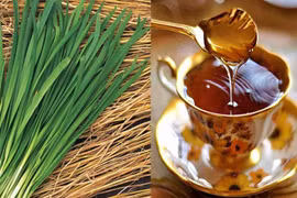 Mách bạn 6 cách dùng lá hẹ tươi giảm ho, viêm họng