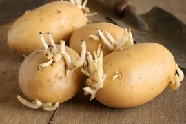 7 loại thực phẩm dễ gây ngộ độc không phải ai cũng biết 