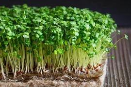 Loại rau chứa nhiều vitamin, ăn thường xuyên tốt cho tiêu hóa, da dẻ mịn màng