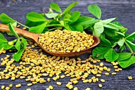 5 lợi ích của hạt cỏ cà ri đối với tóc mà bạn không ngờ tới