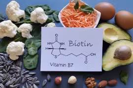 Top 10 loại thực phẩm giàu biotin nhất tốt cho sức khỏe