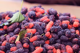 Bật mí 4 tác dụng 'diệu kì' của quả dâu tằm đối với làn da