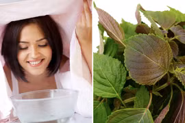 6 cách xông mặt bằng lá tía tô giúp da sáng mịn và giảm mụn