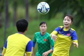 Sự thật về thông tin bán 200 ha đất trên núi Hải Vân cho người Trung Quốc