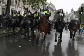 Sao nhiều nước vẫn sử dụng cảnh sát kỵ binh giữa thời đại 4.0? 