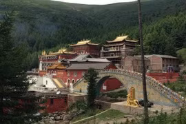 Độc lạ ngôi chùa, ghé thăm là chỉ muốn nghỉ hưu luôn