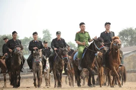 Điều chưa biết về Đoàn Cảnh sát cơ động Kỵ binh Việt Nam 