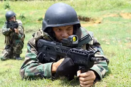 Dấu ấn công nghệ quốc phòng Israel nổi bật trong QĐND Việt Nam (P1)