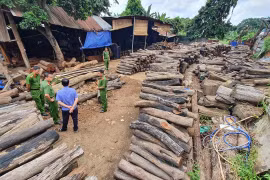 Đắk Lắk: Gỗ lậu quý hiếm được tập kết giữa lòng thành phố