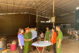 Đắk Lắk: Khởi tố, bắt tạm giam nữ giám đốc lừa đảo hàng chục tỷ đồng