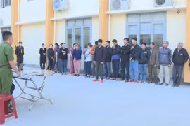 Đắk Lắk: Triệt phá đường dây cá độ bóng đá hơn 1.000 tỉ đồng