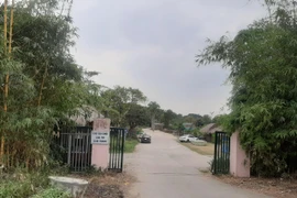 Long Biên (Hà Nội): Cần xử lý vi phạm tại khu vực Đầm Trành