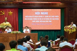 Đắk Lắk: Tăng cường quản lý, giám sát mã số sầu riêng xuất khẩu