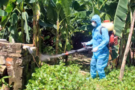 Hà Nội: Tăng cường các biện pháp phòng chống sốt xuất huyết