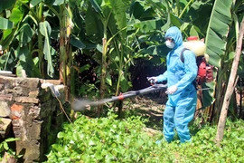 Hà Nội: Tăng cường các biện pháp phòng chống sốt xuất huyết